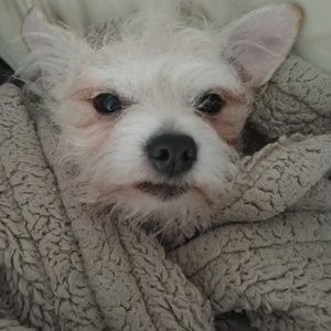 Meet your Posher, Elias